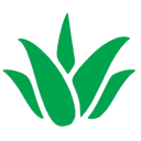 Aloe Herbal