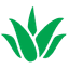 Store | Aloe Herbal